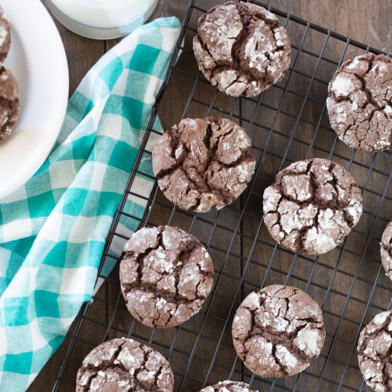 Chocolate Crinkle Cookies - Recipe photo by Kristine Underwood
