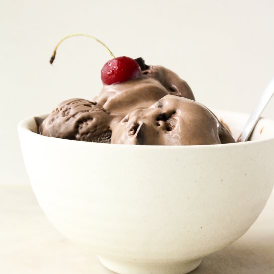No-Churn Mocha Ice Cream - Recipe photo by The Desserted Girl