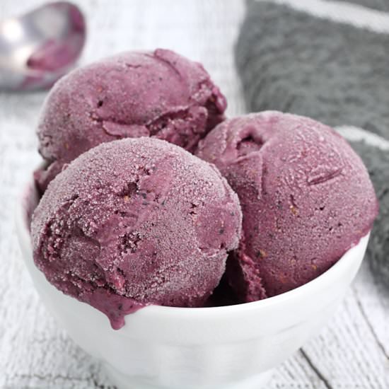 Two-Ingredient Mixed Berry Sherbet - Recipe photo by TheToastyKitchen