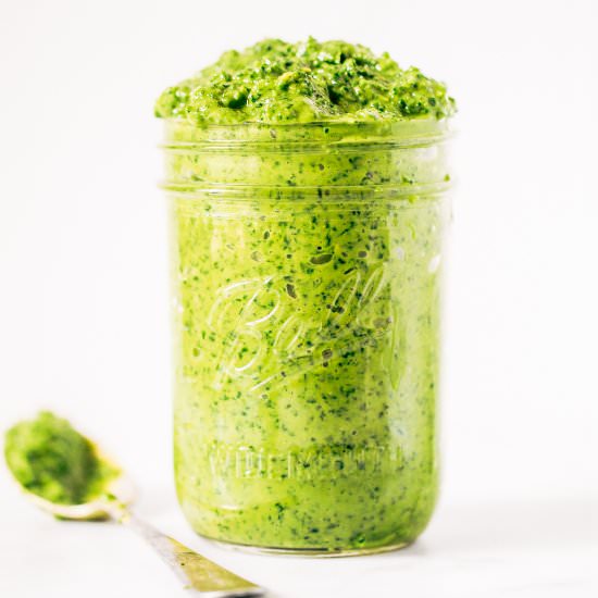 kale vegan pesto - Recipe photo by Paleoglutenfree.com