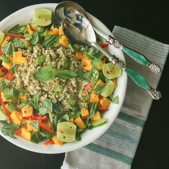 Larb Salad - Recipe photo by Something New For Dinner