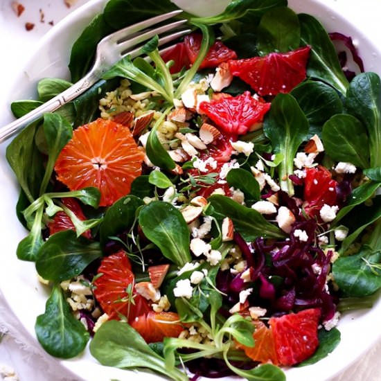 Healthy rainbow Grain salad - Recipe photo by lilVienna.com