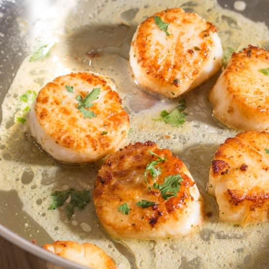 Easy Pan Seared Scallops - Recipe photo by recipecritique