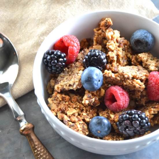 Coconut Pecan Low Carb Granola - Recipe photo by texasgranolagirl