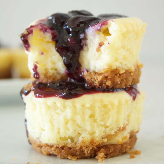 Mini Cheesecakes with Compote - Recipe photo by sisterskneadsweets