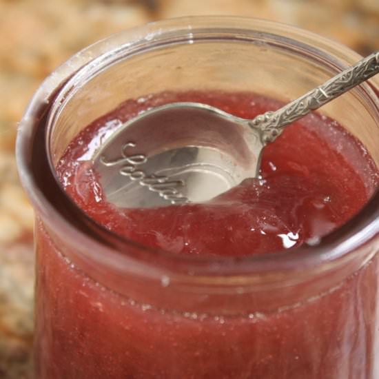 easiest rhubarb jam - Recipe photo by christinascucina