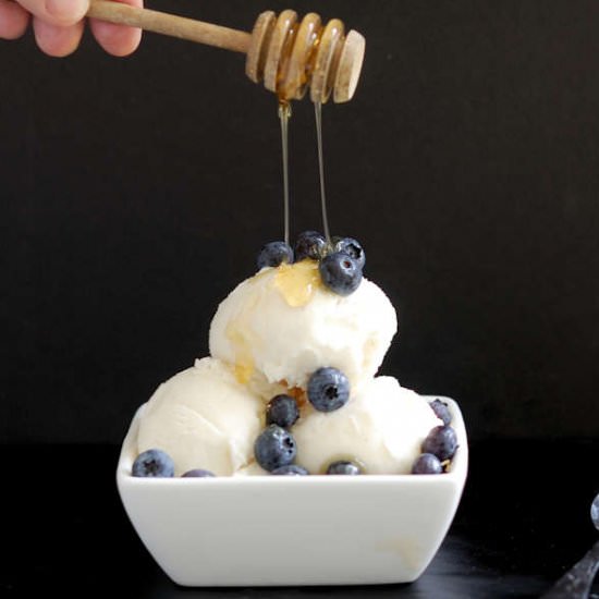 Frozen Yogurt w/Honey & Vanilla Bea - Recipe photo by eileen.baking-sense