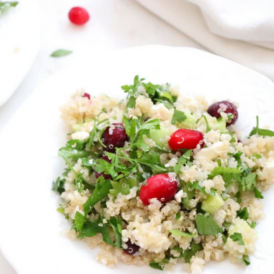 Cranberry Quinoa Tabbouleh Salad - Recipe photo by nourishingplate