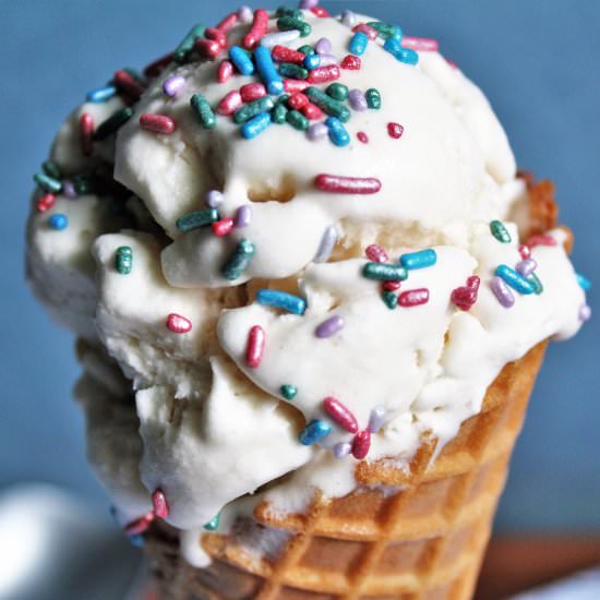 No Churn Vegan Ice Cream - Recipe photo by thehiddenveggies
