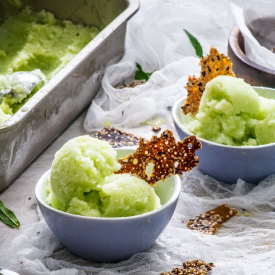 Wasabi Honeydew Sorbet - Recipe photo by rhubarbandcod