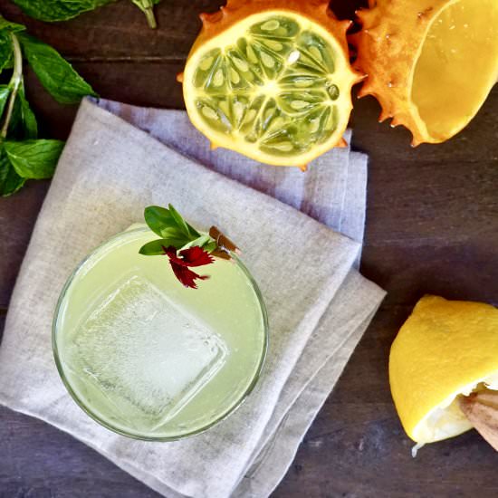 Horned Melon Tom Collins - Recipe photo by simmerandsauce