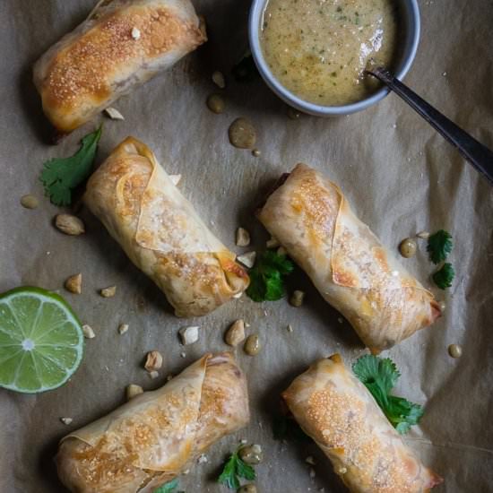 Pad Thai Egg Rolls - Recipe photo by Went Here 8 This