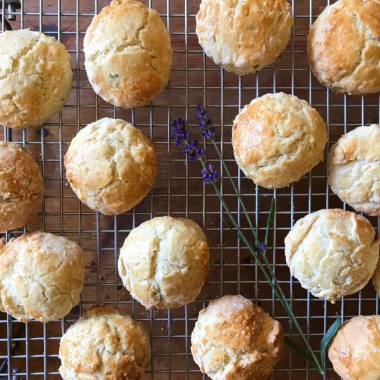 Lavender Scones - Recipe photo by tastebotanical