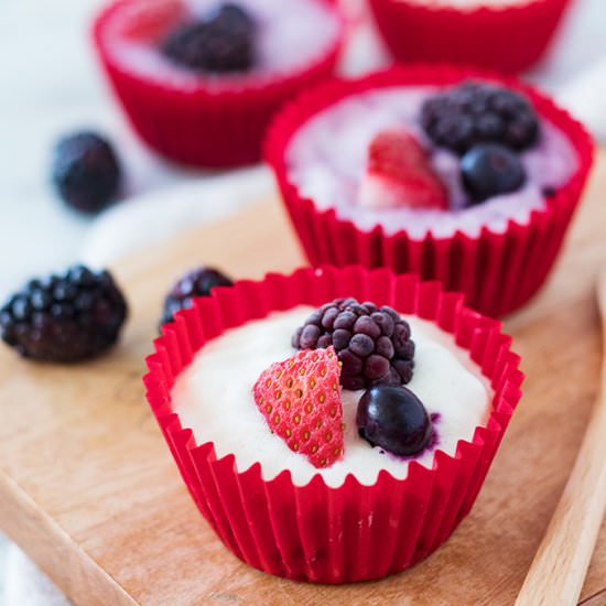 Frozen Yogurt Granola Cups - Recipe photo by theunlikelybaker