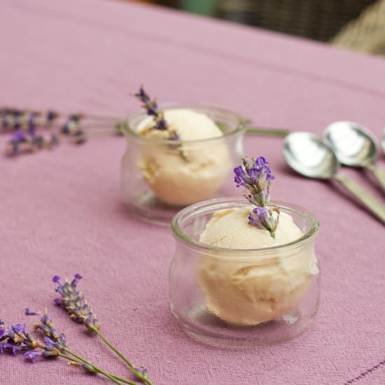 Lavender Ice Cream - Recipe photo by zuckerbaeckerin
