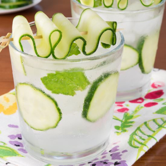 Cucumber Lime Vodka Fizz - Recipe photo by For the Love of Cooking