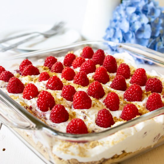 Raspberry Delight - Recipe photo by BeyondtheCoop