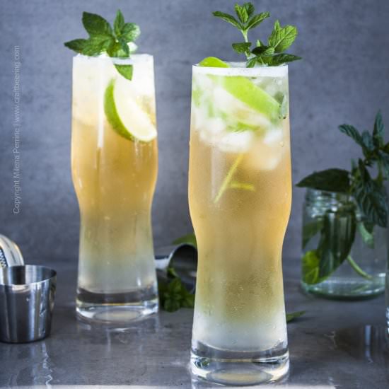Beer Mojito with Berliner Weisse - Recipe photo by Craft Beering