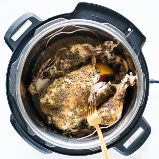 Instant Pot Whole Chicken - Recipe photo by freeyourfork