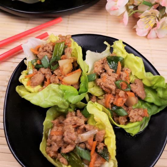 Pressure Cooker Chicken Wrap - Recipe photo by ThisOldGal