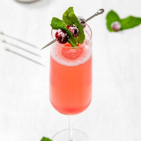 Cranberry Cava cocktail - Recipe photo by thanksgiving