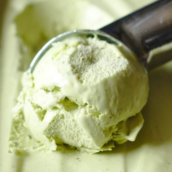 Green Tea Ice Cream - Recipe photo by mildlymeandering