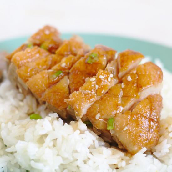 Teriyaki Duck - Recipe photo by mildlymeandering
