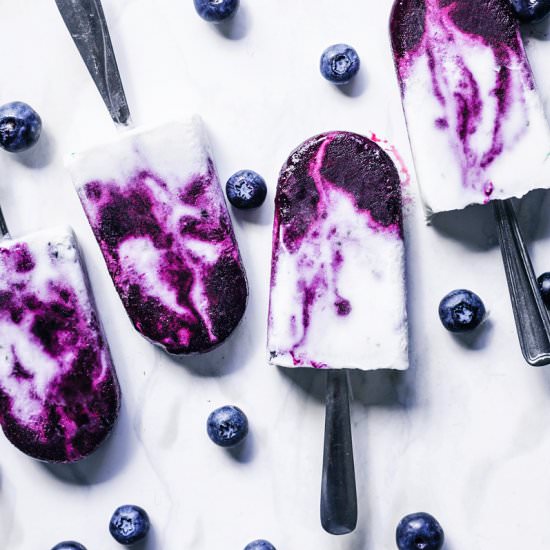 Blueberry Coconut Milk Popsicles - Recipe photo by occasionallyeggs