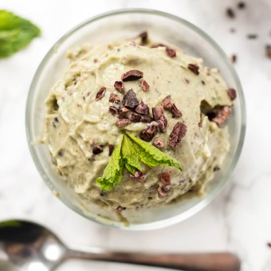 Mint Chip Banana Ice Cream - Recipe photo by simplyquinoa