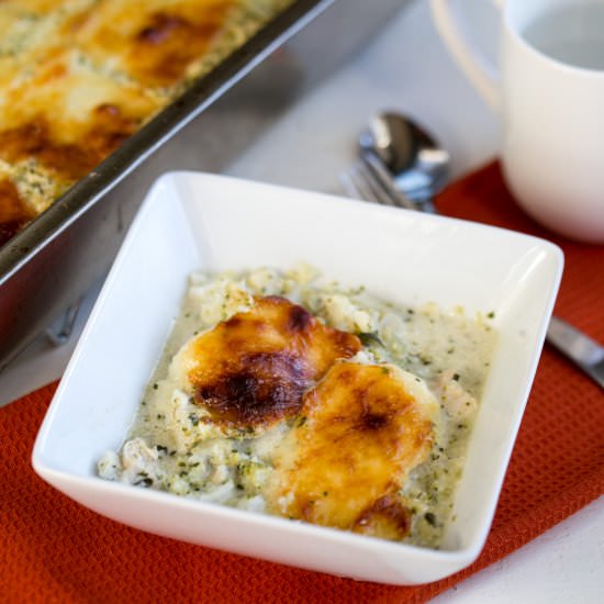 Chicken Alfredo Casserole - Recipe photo by littlebitrecipes
