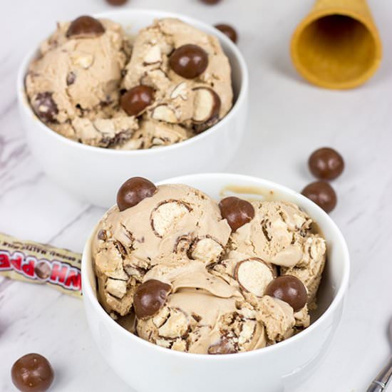 Malted Milk Ice Cream - Recipe photo by spicedblog