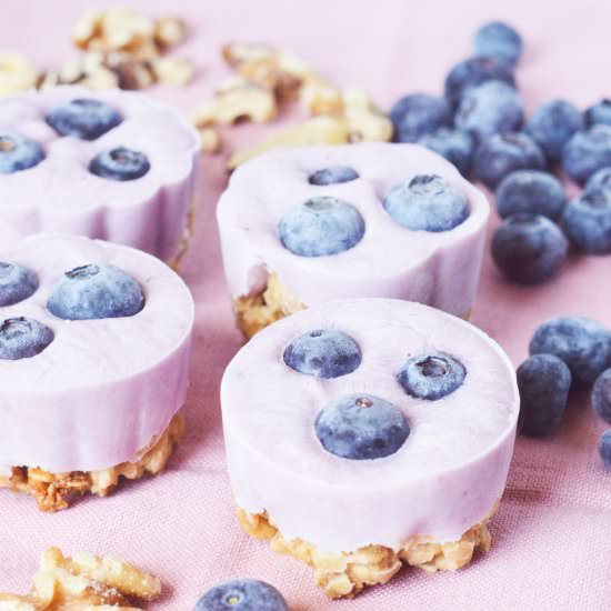 Blueberry Granola Fro Yo Bites - Recipe photo by Lydi Out Loud
