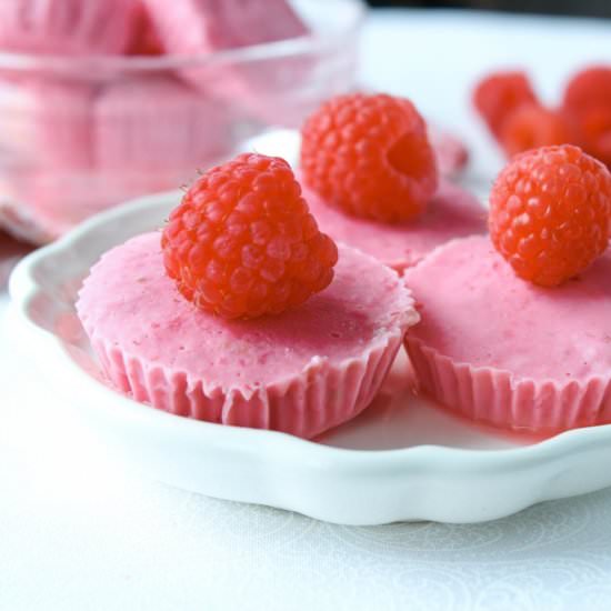RASPBERRY LEMON GREEK YOGURT BITES - Recipe photo by Megsmealplanning