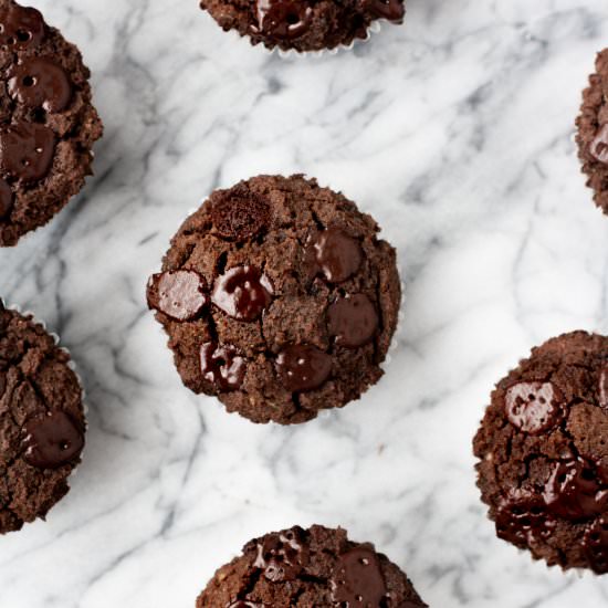Low-Carb Triple Chocolate Zucchini - Recipe photo by realbalanced