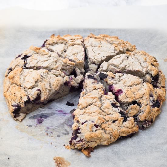 Gluten-Free, Vegan Blueberry Scones - Recipe photo by FriFran