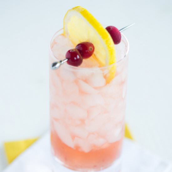 CARIBBEAN CRANBERRY LEMONADE - Recipe photo by thedrinkkings