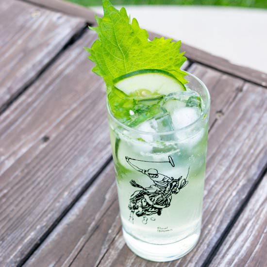 Shiso Gin and Tonic - Recipe photo by gristandgreens