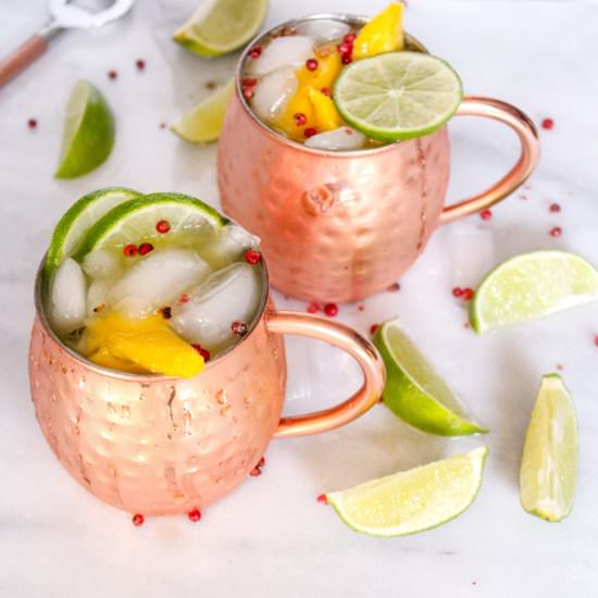 Mexican Mango Mule - Recipe photo by mom under pressure