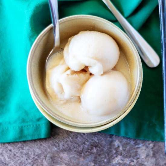 Homemade Almond Milk Ice Cream - Recipe photo by littlebitrecipes