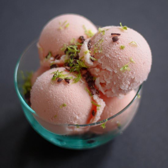 Watermelon Sherbet - Recipe photo by Audrey Gebhardt