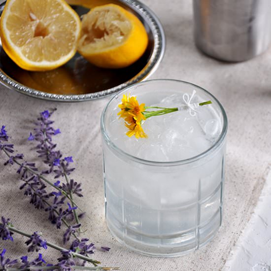 Rum Daisy Cocktail - Recipe photo by ramshacklepantry