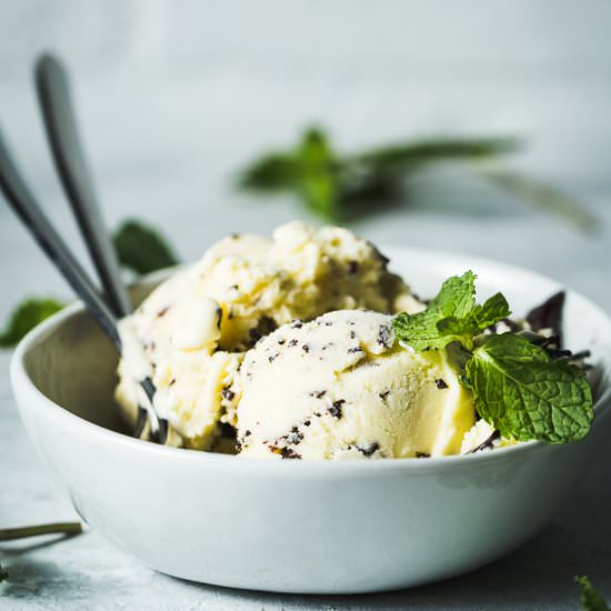 Mint Chocolate Chip Ice Cream - Recipe photo by saltpepperskillet