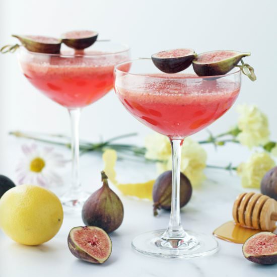 Honey Roasted Fig Elderflower Fizz - Recipe photo by peanutbutterandfitness