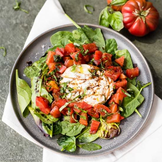 Tomato Burrata Salad - Recipe photo by RNsKitchen