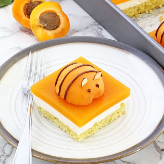 APRICOT BEE CAKE - Recipe photo by valyastasteofhome.com