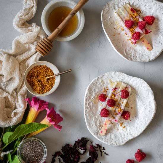 Raspberry Hibiscus Chia Popsicles - Recipe photo by lepetitchefsb
