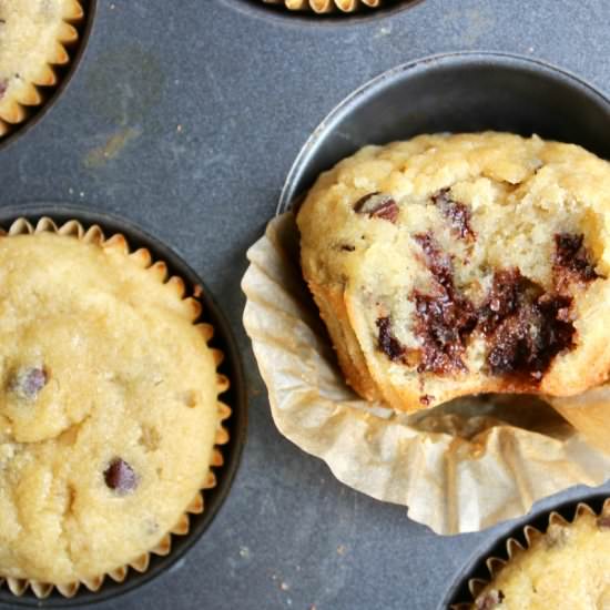 GF Chocolate Chip Banana Muffins - Recipe photo by girlinhealing
