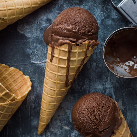 Chocolate Coconut Sorbet - Recipe photo by Domestic Gothess