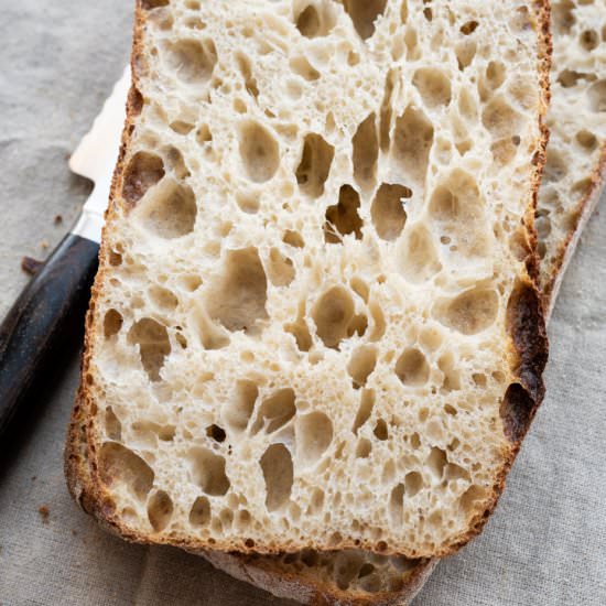 Ciabatta Bread - Recipe photo by the perfect loaf