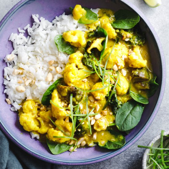 Vegan Coconut Curry - Recipe photo by snixykitchen